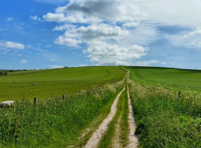 The South downs WAY  - Malcolm Oakley